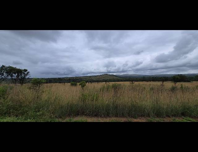 37.90HA FARM FOR SALE IN MODDERFONTEIN AH